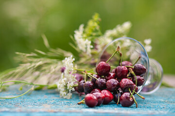 Glass ice cream bowl with ripe sweet cherries standing to the right of bouquet of wildflowers on an old wooden table in the garden. soft selective focus, blurry background