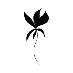 Illustration of a flower, silhouette of a twig with flowers and leaves. Vector illustration. Floral print.