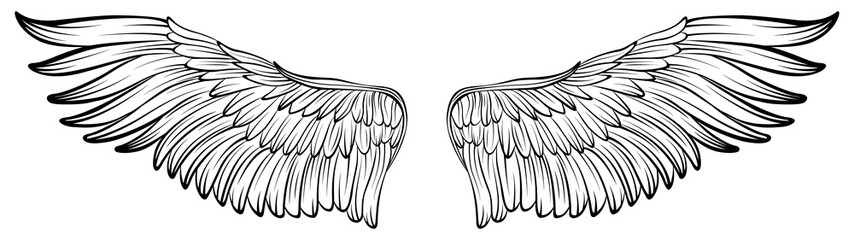Bird wings png illustration tattoo style. Hand drawn design element.