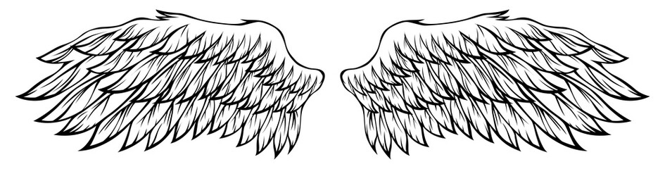 Bird wings png illustration tattoo style. Hand drawn design element.