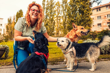 Female dog walker with dogs enjoying in city park.