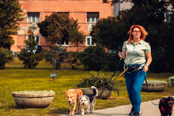 Female dog walker with dogs enjoying in city park.