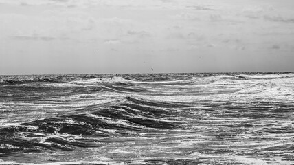 Landscape with black and white sea waves