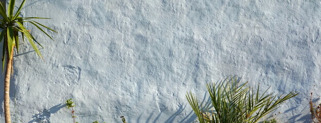 Obsolete Plaster Texture. Whitewash Surface. Palm and Plants on the background of White Concrete...