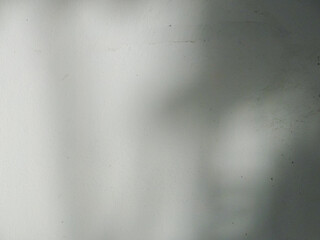 The shadow of the sun shining through the wood