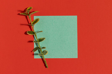 Green greeting card with a plant branch on red background. Minimalistic flat lay.