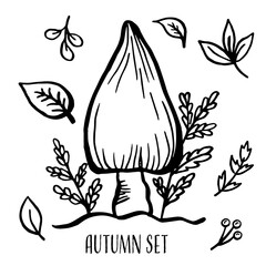 Hello Autumn. Autumn harvest symbols. Set of autumn elements leaves, berries and mushroom. Hand drawn, sketch. Vector illustration in doodle style.