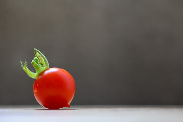 single red tomato on wood with copy space. Healthy eating concept