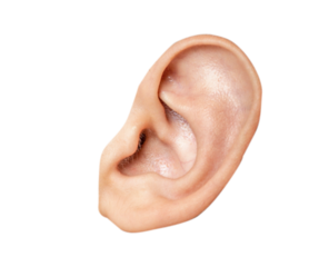 close up of a ear
