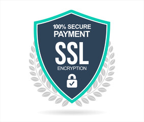 SSL Protection Secure icon vector illustration isolated on white background 
