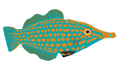 Ocean fish Oxymonacanthus longirostris, Orange spotted filefish, is a filefish in the family Monacanthidae found on coral reefs in the Indo-Pacific Oceans.