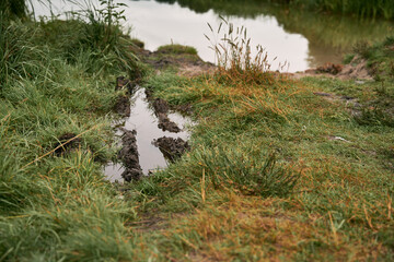Beautiful lake landscape with nice light. Natural landscape of lake in Poland