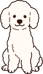 Simple and adorable white colored Poodle dog illustration sitting in front view