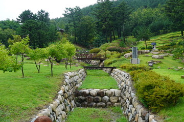 Beautiful Green Grass view in Canal at Pohang South Korea