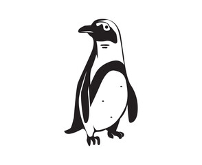 penguin illustration