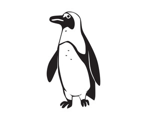 penguin illustration