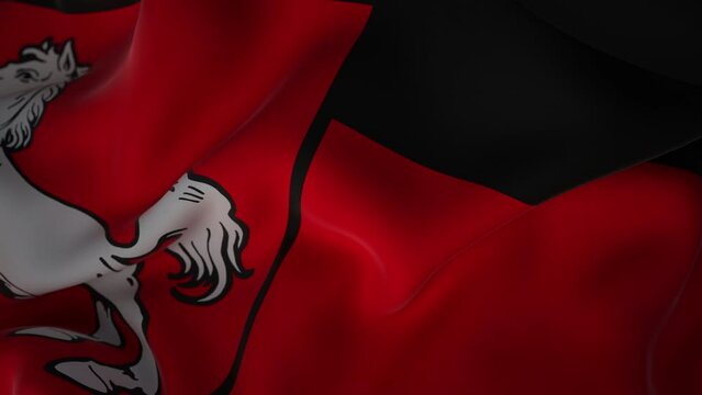 4k Video Slow Motion Flagge Niedersachsen, Prores 4444