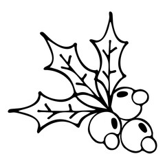 Hand-drawn sketch of holly with berries on a white background
