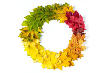 Circle frame of Autumn bright colorful maple leaves on white. Top view with copy space