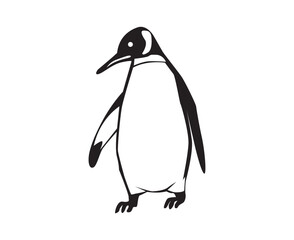 penguin illustration