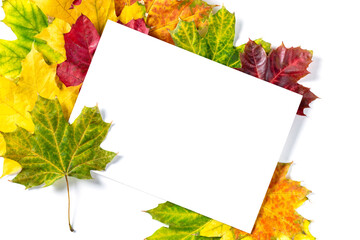 Naklejka na ściany i meble Colorful frame of fallen autumn leaves and a blank paper sheet. Flat lay, top view, copy space for your text