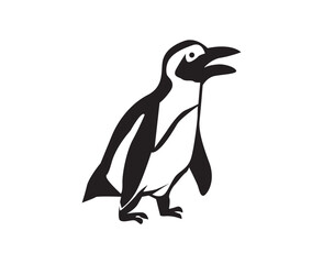 penguin illustration