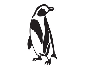 penguin illustration