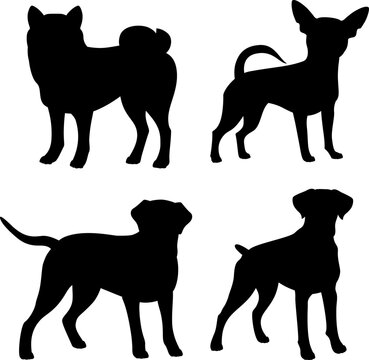 Set of silhouette of breed dog. Isolated black silhouette of boxer, labrador, chihuahua, shiba inu on white background.