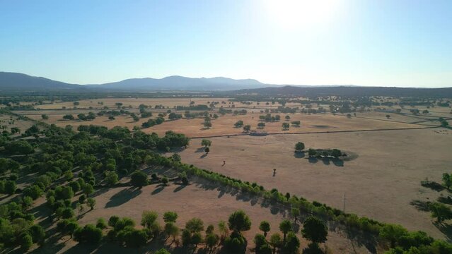 4K aerial image with drone in the Campo de Madrid La Devesa in Spain rural road