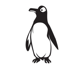 penguin illustration