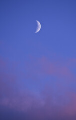 Afternoon moon above pink clouds