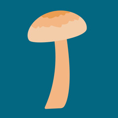 mushroom on a blue background