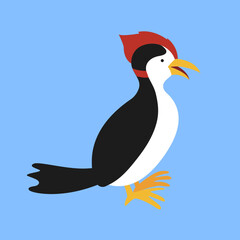 Woodpecker, forest bird, illustration, vector, cartoon