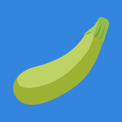 Zucchini, vegetable, illustration, vector, cartoon