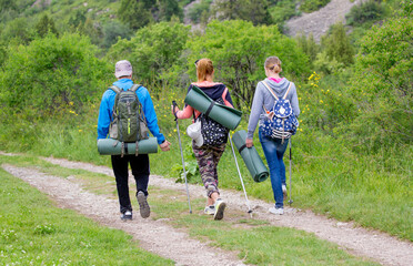 Tourists go hiking in the mountains. A tourist team with trekking poles and backpacks set out on a journey through the mountains. Team of climbers.