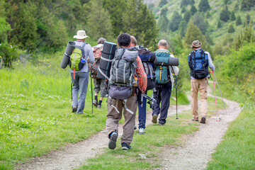 Obraz premium Tourists go hiking in the mountains. A tourist team with trekking poles and backpacks set out on a journey through the mountains. Team of climbers.