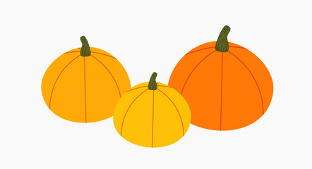 Pumpkins harvest icon.
