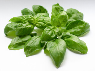 fresh green basil leaves isolated on white