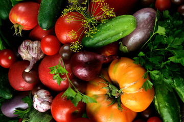 harvest: various vegetables