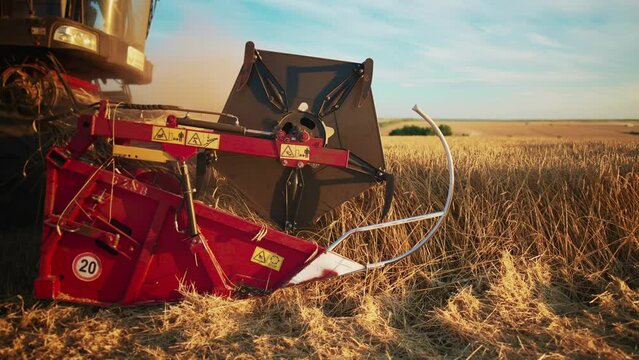 Wheat harvest. Wheat harvesting shears. Harvester machine harvesting golden ripe wheat field on an agricultural field at sunset in summer from close up. Agriculture food production. Industry concept.