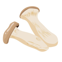 King Oyster Mushrooms, Hand-drawn, isolated on white background, Vector Illustration.