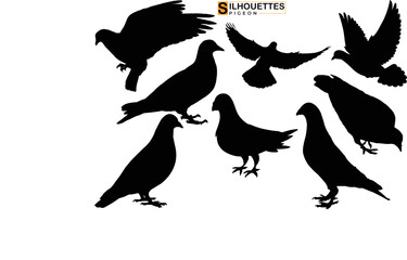 
Set of silhouettes of flying birds pigeon silhouettes on  transparent background