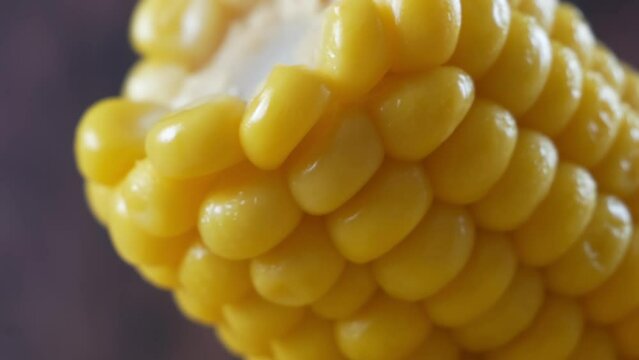 piece of sweet corn and seeds closeup