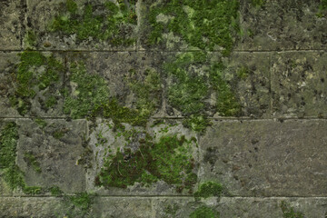 Stone wall with green moss as background, closeup