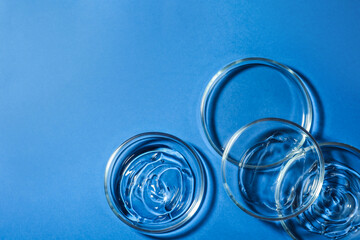 Petri dishes with liquids on blue background, flat lay. Space for text