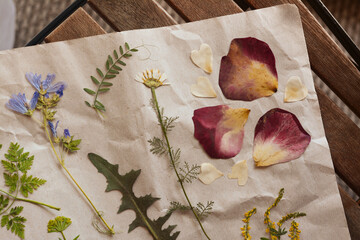 Sheet of paper with dried flowers and leaves on wooden table, top view
