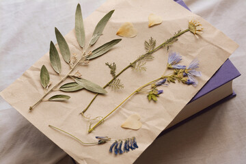 Sheet of paper with dried flowers and leaves on white fabric, closeup