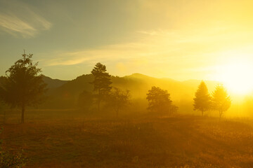 Beautiful sunrise in the mountains, coniferous trees, and fog. Ukraine. The Carpathians. Travels. Rest in nature. Nature.