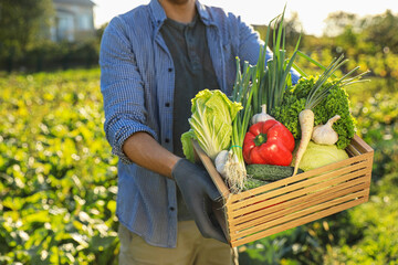 Man with crate of different fresh ripe vegetables on farm, closeup