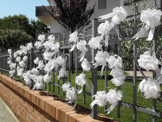 Metal fence with white bows on sunny day
